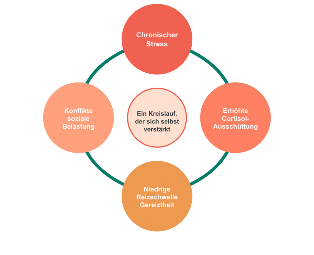 Schaubild: Teufelskreis aus Stress, Gereiztheit und vermehrten Konflikten